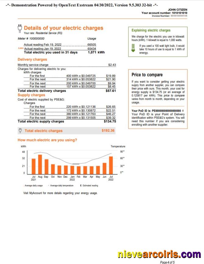 USA New York PSEG utility bill, 5 pages 4